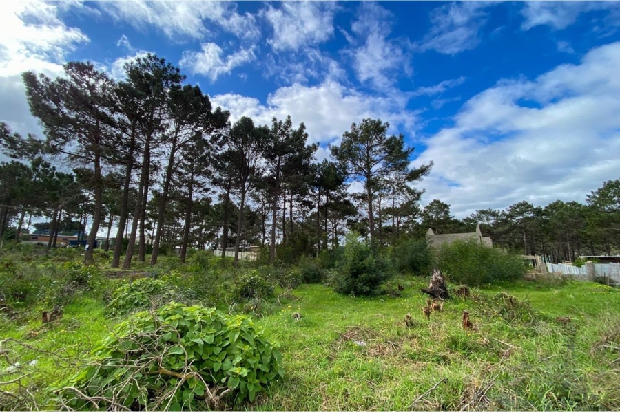 0 Bedroom Property for Sale in Bot River Western Cape